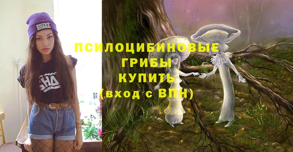 крисы Абдулино