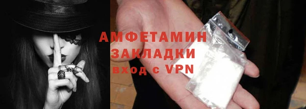 СК Пересвет
